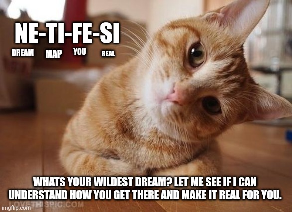 ENTP helpfulness | NE-TI-FE-SI; YOU; DREAM; REAL; MAP; WHATS YOUR WILDEST DREAM? LET ME SEE IF I CAN UNDERSTAND HOW YOU GET THERE AND MAKE IT REAL FOR YOU. | image tagged in curious question cat,mbti,myers briggs,memes,personality,entp | made w/ Imgflip meme maker
