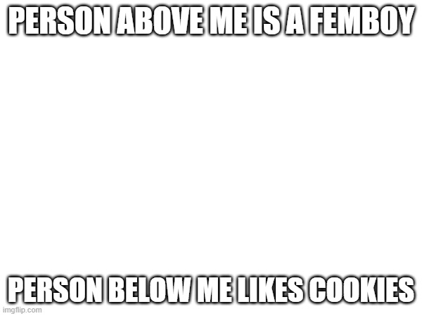 PERSON ABOVE ME IS A FEMBOY; PERSON BELOW ME LIKES COOKIES | image tagged in femboy | made w/ Imgflip meme maker