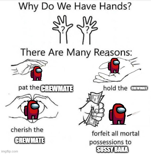 Never give your possessions to a Sussy Baka | CREWMATE; CREWMATE; CREWMATE; SUSSY BAKA | image tagged in why do we have hands,among us | made w/ Imgflip meme maker