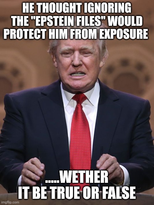 Player got played | HE THOUGHT IGNORING THE "EPSTEIN FILES" WOULD PROTECT HIM FROM EXPOSURE; .....WETHER IT BE TRUE OR FALSE | image tagged in donald trump | made w/ Imgflip meme maker
