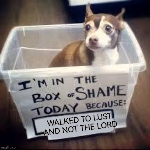Feels bad man. | WALKED TO LUST AND NOT THE LORD | image tagged in box of shame dog,shame,lust | made w/ Imgflip meme maker