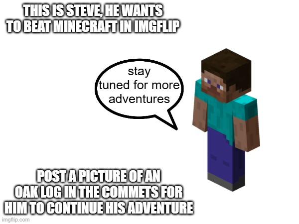 why am i creating this | THIS IS STEVE, HE WANTS TO BEAT MINECRAFT IN IMGFLIP; stay tuned for more adventures; POST A PICTURE OF AN OAK LOG IN THE COMMETS FOR HIM TO CONTINUE HIS ADVENTURE | image tagged in gaming,minecraft,minecraft steve | made w/ Imgflip meme maker