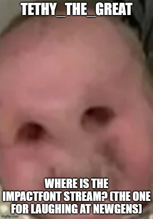 baby | TETHY_THE_GREAT; WHERE IS THE IMPACTFONT STREAM? (THE ONE FOR LAUGHING AT NEWGENS) | image tagged in baby | made w/ Imgflip meme maker