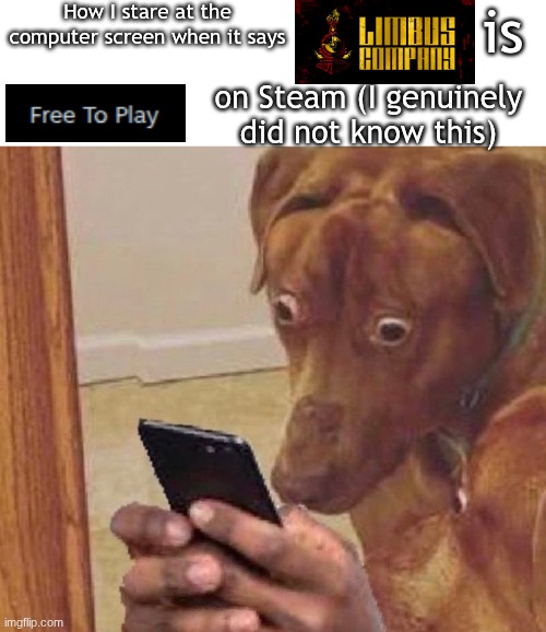 genuine reaction | How I stare at the computer screen when it says; is; on Steam (I genuinely did not know this) | image tagged in shocked dog,limbus company,genuine reaction,oh wow are you actually reading these tags | made w/ Imgflip meme maker