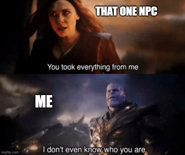 You took everything from me - I don't even know who you are | THAT ONE NPC; ME | image tagged in you took everything from me - i don't even know who you are | made w/ Imgflip meme maker