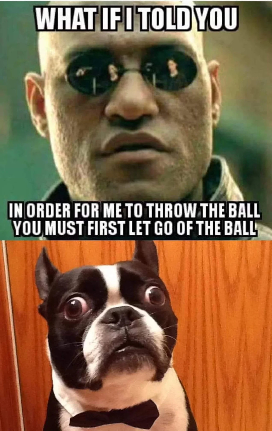 What if I told you Blank Meme Template