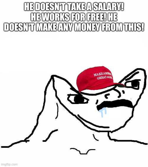 Angry brainlet | HE DOESN'T TAKE A SALARY! HE WORKS FOR FREE! HE DOESN'T MAKE ANY MONEY FROM THIS! | image tagged in angry brainlet | made w/ Imgflip meme maker