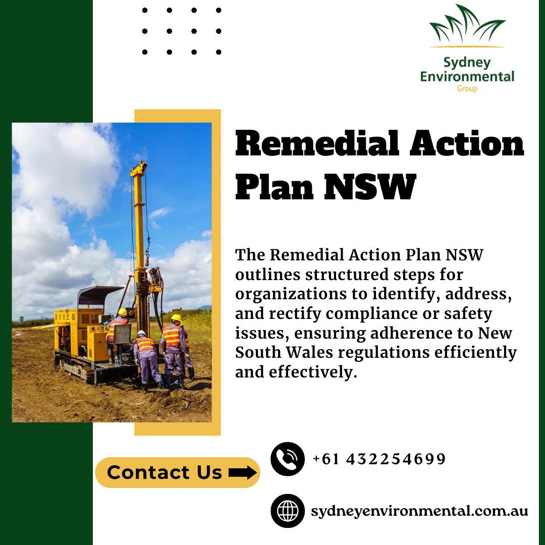 Remedial Action Plan NSW Blank Meme Template