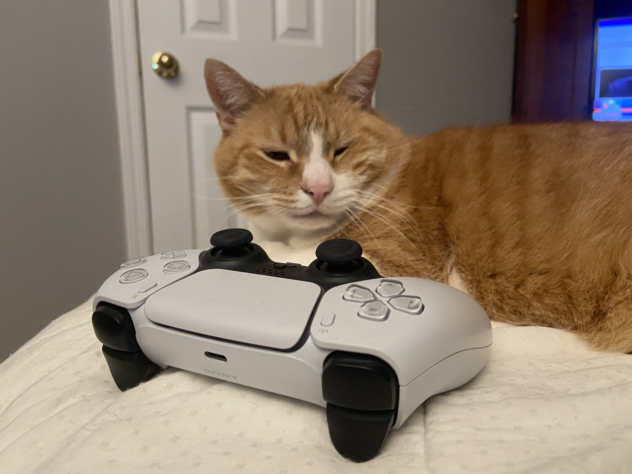 Video games Blank Meme Template