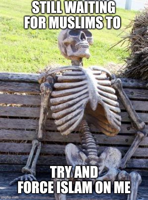 Waiting Skeleton Meme | STILL WAITING FOR MUSLIMS TO; TRY AND FORCE ISLAM ON ME | image tagged in memes,waiting skeleton | made w/ Imgflip meme maker