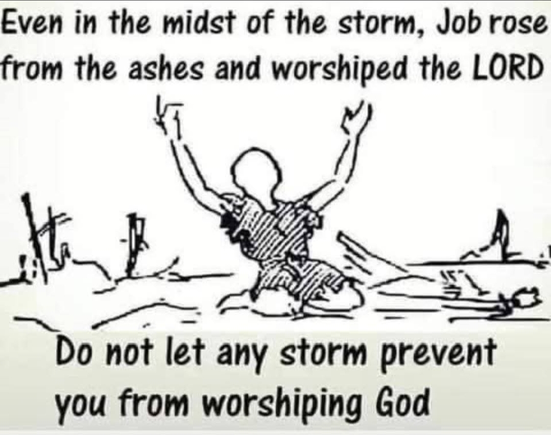 Job rose from the ashes and praised God Blank Meme Template