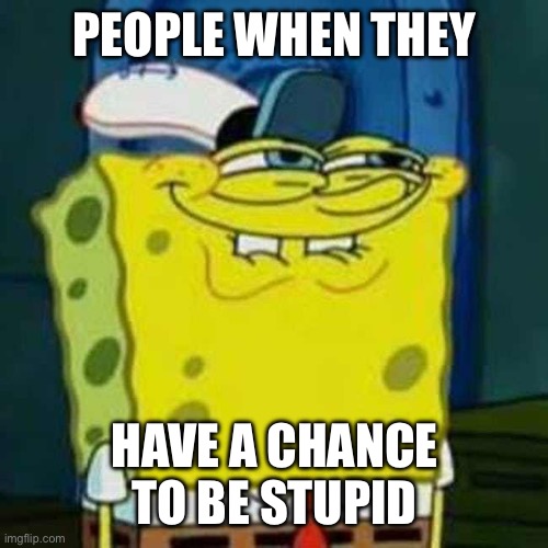 HEHEHE | PEOPLE WHEN THEY; HAVE A CHANCE TO BE STUPID | image tagged in hehehe | made w/ Imgflip meme maker