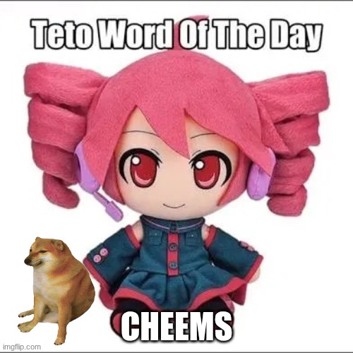 Teto Word of the Day | CHEEMS | image tagged in teto word of the day | made w/ Imgflip meme maker