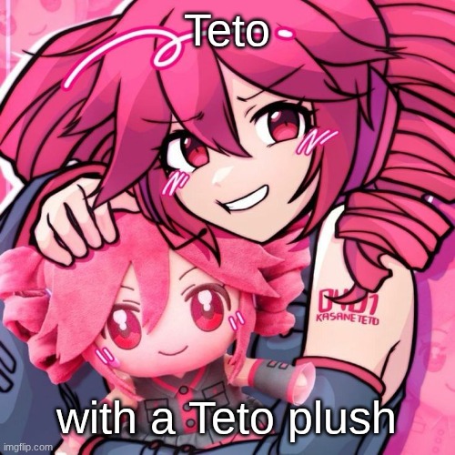 Tetosis | Teto; with a Teto plush | image tagged in tetosis | made w/ Imgflip meme maker