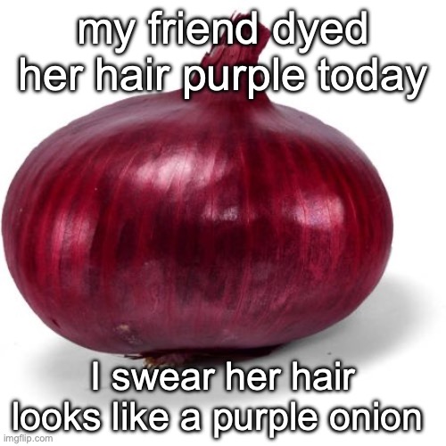 Red onion | my friend dyed her hair purple today; I swear her hair looks like a purple onion | image tagged in red onion | made w/ Imgflip meme maker