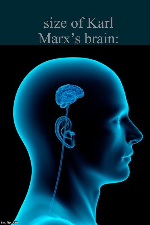 For a philosopher he was an immature idiot | size of Karl Marx’s brain: | image tagged in small brain,karl marx,communism,marxism,immature,idiot | made w/ Imgflip meme maker
