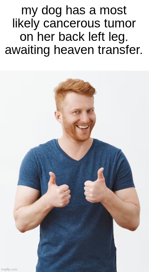 posting ts cus if I'ma make a joke Abt shi like this, other people shud for me. | my dog has a most likely cancerous tumor on her back left leg. awaiting heaven transfer. | made w/ Imgflip meme maker