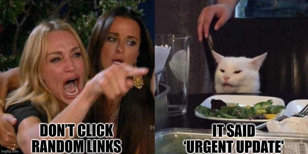 Woman yelling at cat | DON’T CLICK RANDOM LINKS; IT SAID ‘URGENT UPDATE' | image tagged in woman yelling at cat | made w/ Imgflip meme maker