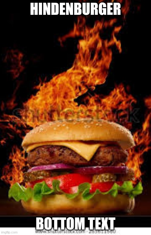 Hindenburger | HINDENBURGER; BOTTOM TEXT | image tagged in dark humor | made w/ Imgflip meme maker