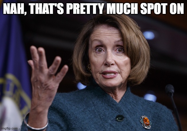 Good old Nancy Pelosi | NAH, THAT'S PRETTY MUCH SPOT ON | image tagged in good old nancy pelosi | made w/ Imgflip meme maker