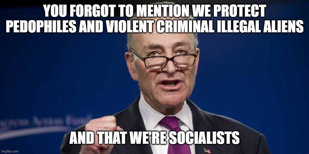 chuck Schumer | YOU FORGOT TO MENTION WE PROTECT PEDOPHILES AND VIOLENT CRIMINAL ILLEGAL ALIENS AND THAT WE'RE SOCIALISTS | image tagged in chuck schumer | made w/ Imgflip meme maker