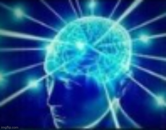 brain | image tagged in brain | made w/ Imgflip meme maker
