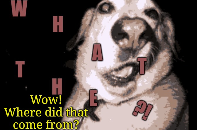 WT? | Wow! Where did that come from? | image tagged in wt | made w/ Imgflip meme maker