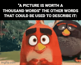 A picture is worth more than a thousand words. - Imgflip