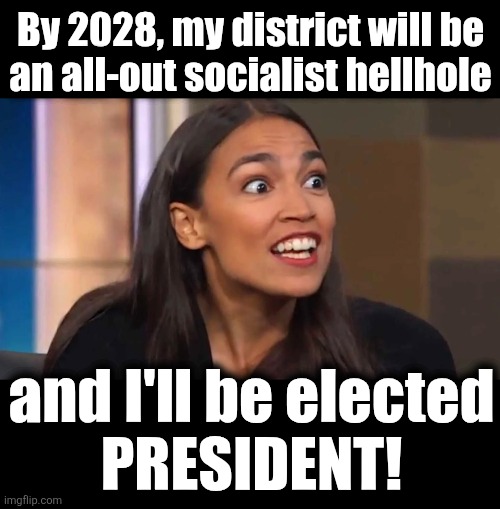 Zohran's victory has libs excited | By 2028, my district will be
an all-out socialist hellhole; and I'll be elected
PRESIDENT! | image tagged in crazy aoc,new york city,zohran mamdani,socialism,democrats,election 2028 | made w/ Imgflip meme maker