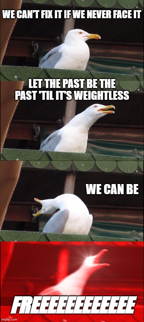 Inhaling Seagull | WE CAN'T FIX IT IF WE NEVER FACE IT; LET THE PAST BE THE PAST 'TIL IT'S WEIGHTLESS; WE CAN BE; FREEEEEEEEEEEE | image tagged in memes,inhaling seagull | made w/ Imgflip meme maker