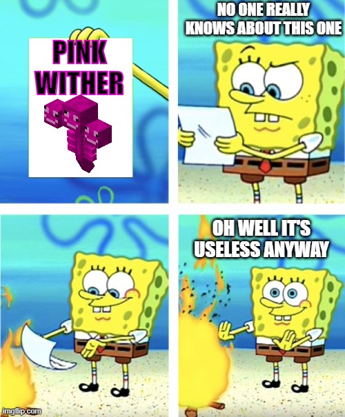 Spongebob Burning Paper | NO ONE REALLY KNOWS ABOUT THIS ONE; PINK WITHER; OH WELL IT'S USELESS ANYWAY | image tagged in spongebob burning paper | made w/ Imgflip meme maker