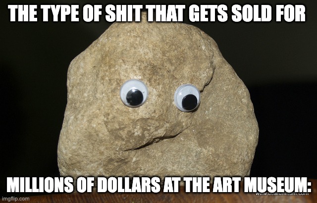 Pet Rock | THE TYPE OF SHIT THAT GETS SOLD FOR; MILLIONS OF DOLLARS AT THE ART MUSEUM: | image tagged in pet rock | made w/ Imgflip meme maker