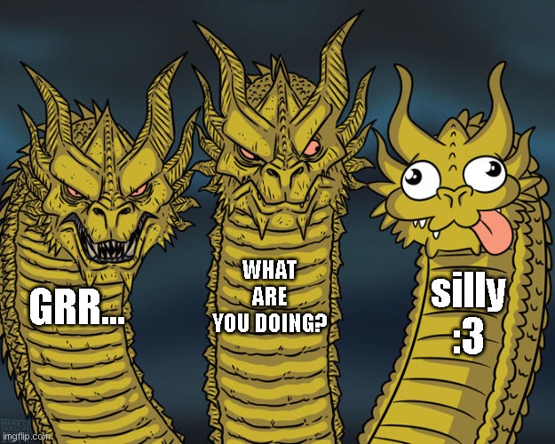 silly dragon head and 2 dragon heads | WHAT ARE YOU DOING? silly :3; GRR... | image tagged in three-headed dragon | made w/ Imgflip meme maker
