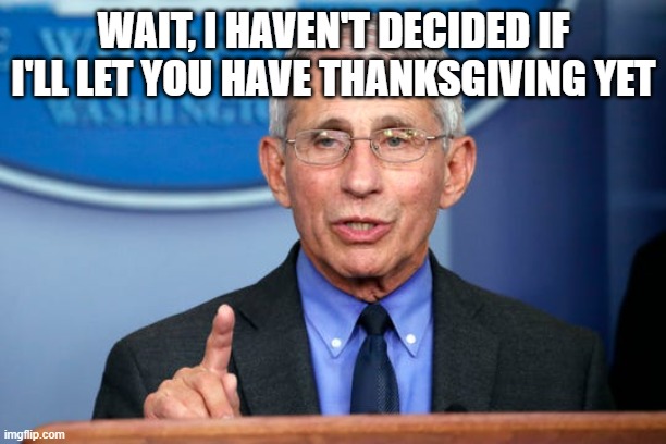 Dr. Fauci | WAIT, I HAVEN'T DECIDED IF I'LL LET YOU HAVE THANKSGIVING YET | image tagged in dr fauci | made w/ Imgflip meme maker