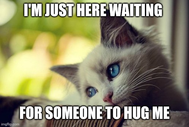 Hug me | I'M JUST HERE WAITING; FOR SOMEONE TO HUG ME | image tagged in memes,first world problems cat,funny memes | made w/ Imgflip meme maker