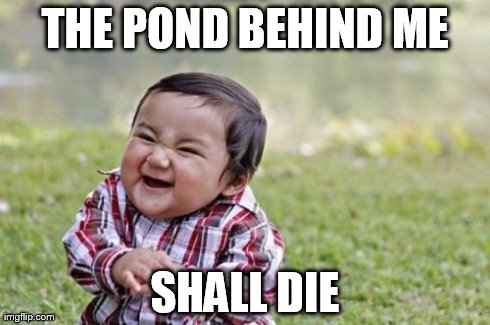 Evil Toddler Meme | THE POND BEHIND ME SHALL DIE | image tagged in memes,evil toddler | made w/ Imgflip meme maker