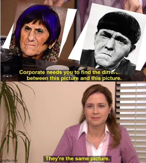 Oh Rosa | image tagged in memes,they're the same picture | made w/ Imgflip meme maker