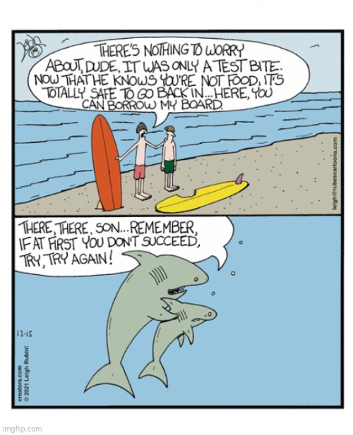 Rubes | image tagged in comics,rubes,surfers,beach,sharks,near miss | made w/ Imgflip meme maker
