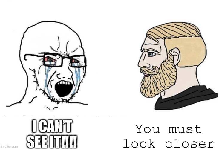 I CAN’T SEE IT!!!! You must look closer | image tagged in soyboy vs yes chad | made w/ Imgflip meme maker