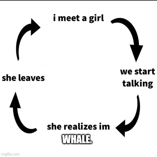 I meet a girl | WHALE. | image tagged in i meet a girl | made w/ Imgflip meme maker