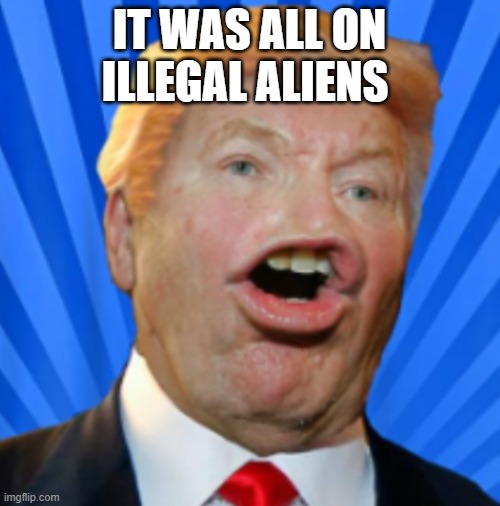 Pathetic Don | IT WAS ALL ON ILLEGAL ALIENS | image tagged in pathetic don | made w/ Imgflip meme maker