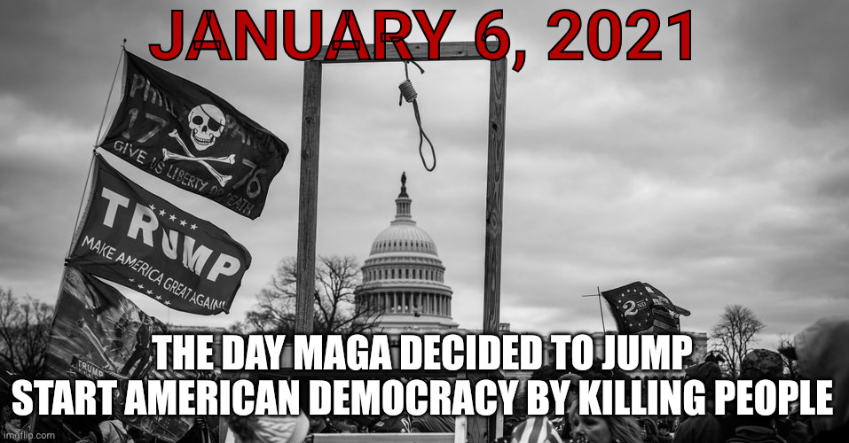 Capitol Hill riot gallows | JANUARY 6, 2021 THE DAY MAGA DECIDED TO JUMP START AMERICAN DEMOCRACY BY KILLING PEOPLE | image tagged in capitol hill riot gallows | made w/ Imgflip meme maker