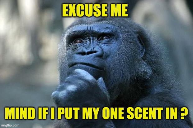 Deep Thoughts | EXCUSE ME MIND IF I PUT MY ONE SCENT IN ? | image tagged in deep thoughts | made w/ Imgflip meme maker