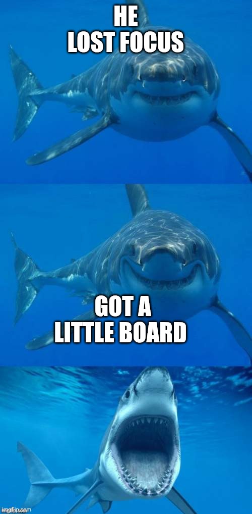 Bad Shark Pun  | HE LOST FOCUS GOT A LITTLE BOARD | image tagged in bad shark pun | made w/ Imgflip meme maker