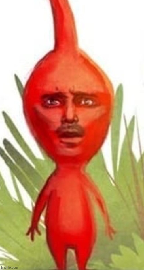 jesse pikmin | image tagged in jesse pikmin | made w/ Imgflip meme maker