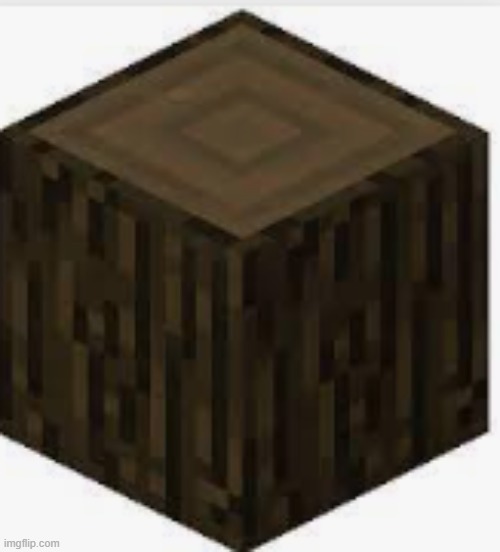 Dark oak log | image tagged in dark oak log | made w/ Imgflip meme maker