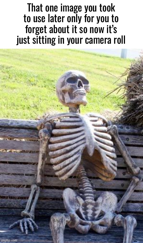 Yeah, I just have this random image now and forgot why I took it | That one image you took to use later only for you to forget about it so now it’s just sitting in your camera roll | image tagged in memes,waiting skeleton | made w/ Imgflip meme maker