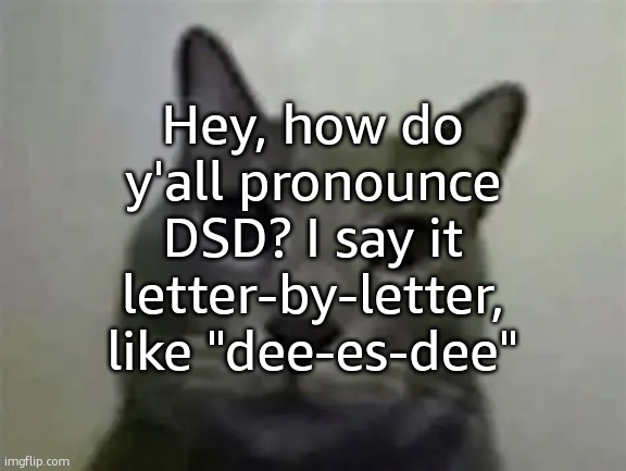 (The Annoying Dog absorbed the brainrot number.) | Hey, how do y'all pronounce DSD? I say it letter-by-letter, like "dee-es-dee" | image tagged in yo got games on yo phone,ralsei of topic | made w/ Imgflip meme maker