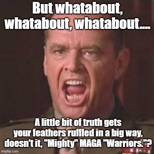 But whatabout, whatabout, whatabout.... A little bit of truth gets your feathers ruffled in a big way, doesn't it, "Mighty" MAGA "Warriors." | image tagged in you can't handle the truth | made w/ Imgflip meme maker