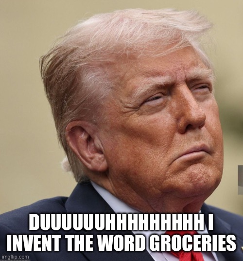 Trump Stroke 25th Amendment | DUUUUUUHHHHHHHHH I INVENT THE WORD GROCERIES | image tagged in trump stroke 25th amendment | made w/ Imgflip meme maker